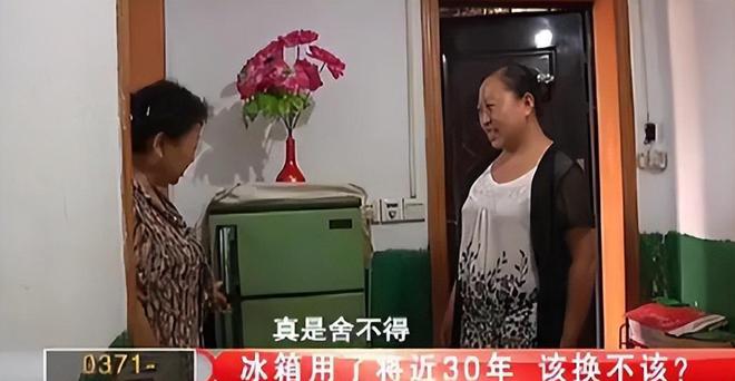 今三家易主只剩下一家成为一线品牌爱游戏平台中国冰箱界的四朵金花如(图5)