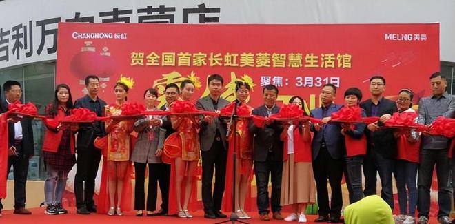 今三家易主只剩下一家成为一线品牌爱游戏平台中国冰箱界的四朵金花如(图7)