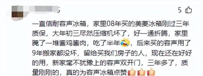 今三家易主只剩下一家成为一线品牌爱游戏平台中国冰箱界的四朵金花如(图15)